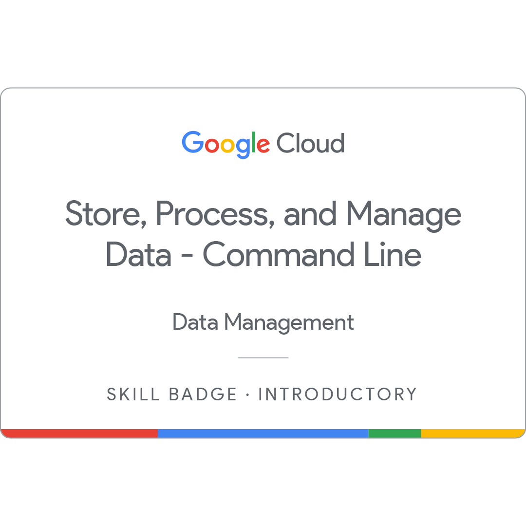 Store, Process, and Manage Data on Google Cloud